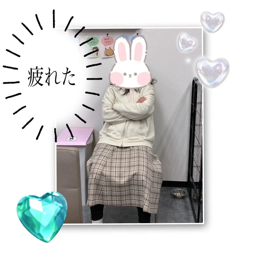 『今日のHuali📸』